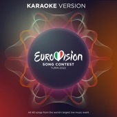 Miss You (Eurovision 2022 - Belgium / Karaoke Version) artwork