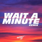 Wait a Minute (Tik Tok Remix) [Remix] artwork