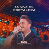 Farra Sem Limites (Ao Vivo) artwork