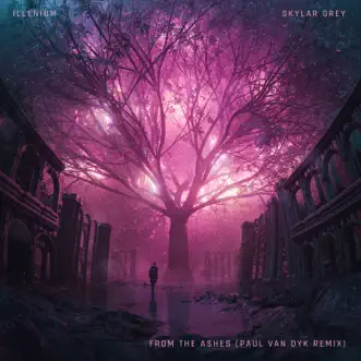 From The Ashes (with Skylar Grey) [Paul van Dyk Remix] - Single by ILLENIUM album reviews, ratings, credits