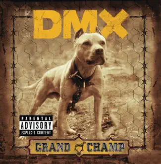 Get It On the Floor (feat. Swizz Beatz) by DMX song reviws