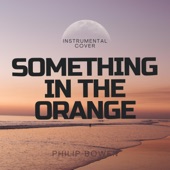 Something in the Orange (Instrumental) artwork