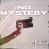 No Mystery (feat. Mellow and Sleazy) - Single