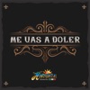 Me Vas a Doler - Single, 2022