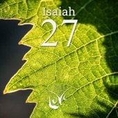 Isaiah 27 - Fruitful Vineyard artwork