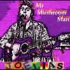 Mr Mushroom Man - Single