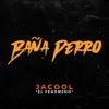 Stream & download Baña Perro - Single