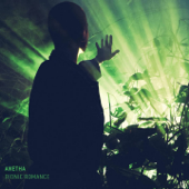 Virtual Ritual - Anetha