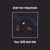 Darren Hayman - How It Could Be