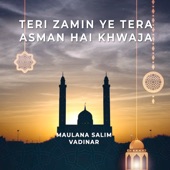 Teri Zamin Ye Tera Asman Hai Khwaja artwork