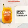Dangerous Love (feat. Mela Caribe) - Single album lyrics, reviews, download