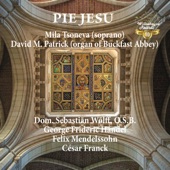 Pie Jesu - EP artwork