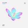 Lyra - Single