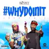 #WhyDoinIt (Instrumental) song lyrics