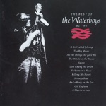 The Waterboys - Killing My Heart