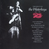 The Waterboys - All The Things She Gave Me