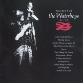 The Best of the Waterboys (1981 - 1990) - The Waterboys