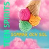 Sommar och Sol (Smells Like Teen Spirit Version) - Single