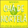 Um Chá de Sucessos, Vol.III