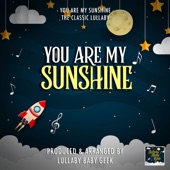 You Are My Sunshine (Lullaby Version) artwork