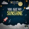 You Are My Sunshine (Lullaby Version) artwork