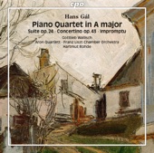 Concertino for Piano & Chamber Orchestra, Op. 43: II. Siciliano artwork
