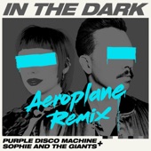 In The Dark (Aeroplane Remix) artwork
