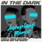 In The Dark (Aeroplane Remix) artwork
