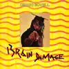 Brain Damage album lyrics, reviews, download