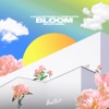 Bloom (nowifi Remix) - Single