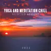 Yoga and Meditation Chill (Selected Ambient 2022) album lyrics, reviews, download