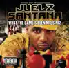 What the Game's Been Missing! album lyrics, reviews, download