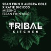 Missing (Sean Finn Mix) - Single, 2022