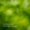 The Olive Branch - Single album lyrics, reviews, download