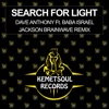 Search for Light (Remix) - Single