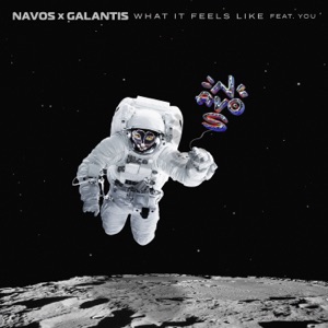 What It Feels Like (feat. You) - Single
