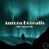 Aurora Borealis - Single, 2022