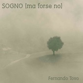 Fernando Tovo - Mad violin