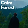 Calm Forest album lyrics, reviews, download