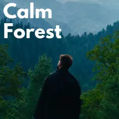 Calm Forest by Zen Minds, Reiki Healing Zone & Calm Music Zone album reviews, ratings, credits