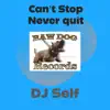 Can't Stop Never Quit - Single album lyrics, reviews, download