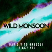 David Vito Gregoli, Ricky Kej - Vana (Forest)