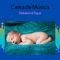 Música Relaxante, Relaxando Debaixo D'Água - Música de Ninar para Bebês lyrics