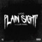 Plain Sight artwork