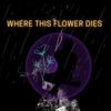 Where This Flower Dies