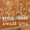 Mayısın Filizleri - Single