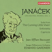 Janáček: Orchestral Works, Vol. 1 artwork