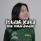 DJ Istilah Kata - Ane Habib Jindan (Remix) artwork