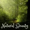 Natural Beauty artwork