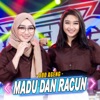 Madu Dan Racun - Single